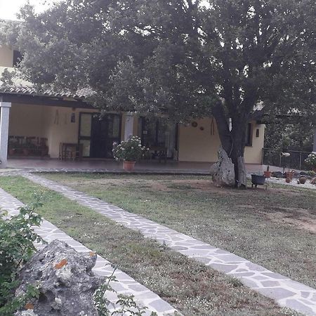 Agriturismo La Tuva Villa Padru Eksteriør bilde
