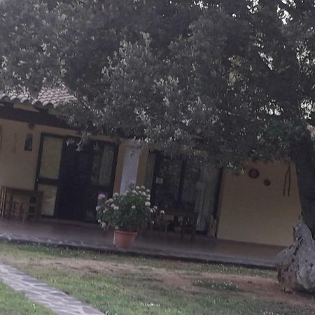 Agriturismo La Tuva Villa Padru Eksteriør bilde