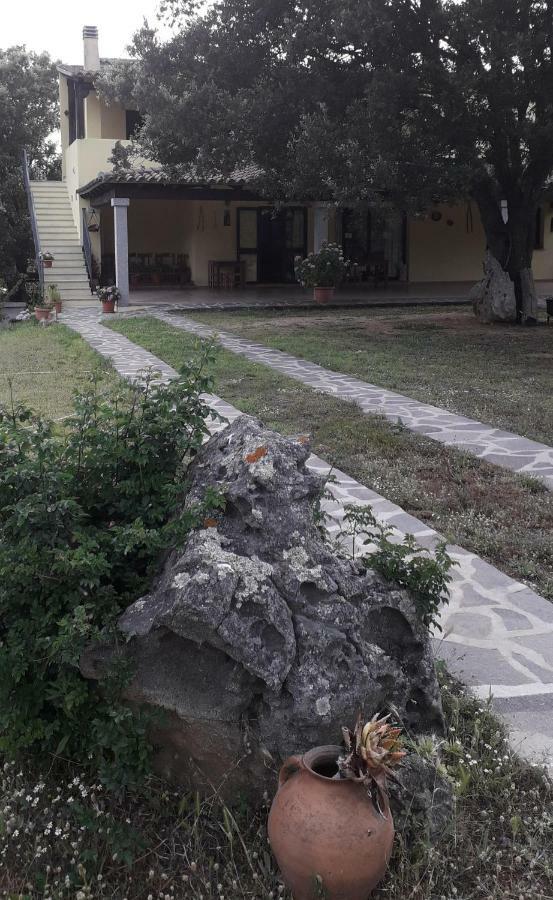 Agriturismo La Tuva Villa Padru Eksteriør bilde