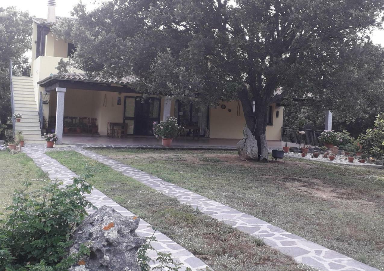 Agriturismo La Tuva Villa Padru Eksteriør bilde