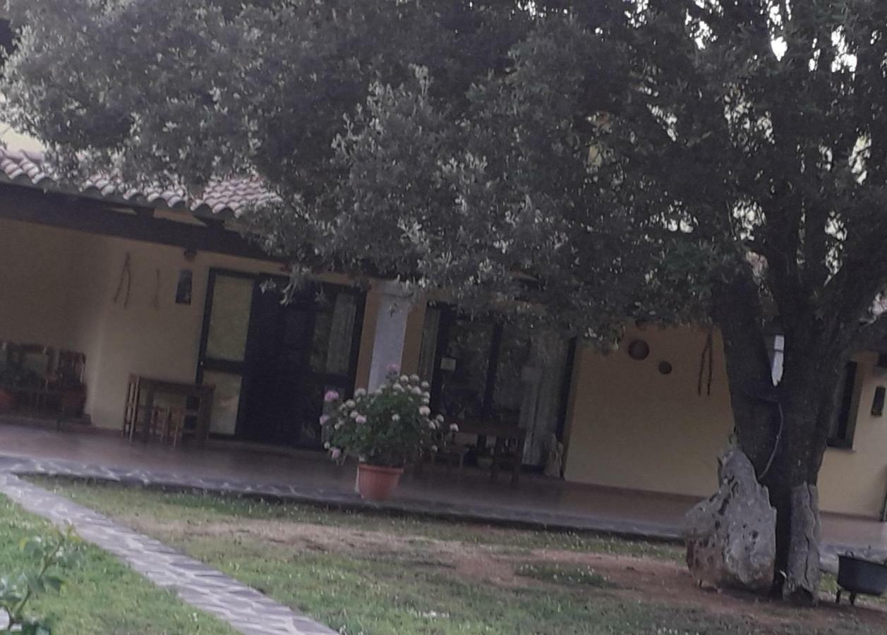 Agriturismo La Tuva Villa Padru Eksteriør bilde